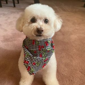 Meet your Posher, Hannah